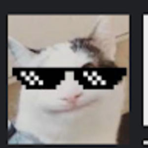 Meet your Posher, Lane